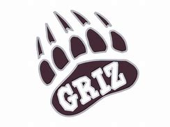 Image result for Memphis Grizzlies Logo Transparent Background