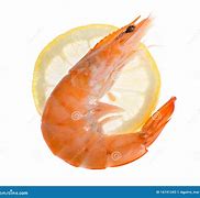 Image result for Single Shrimp