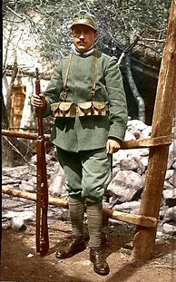 Image result for Italy Army Uniforms WW1