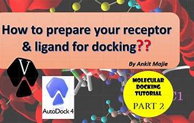 Image result for MessagePad AutoDock