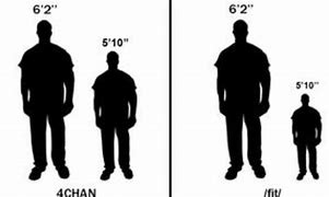 Image result for 4'11 vs 5'6