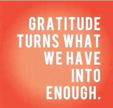Image result for Funny Quotes About Gratitude