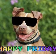 Image result for Dog Friday Memes Funny Work