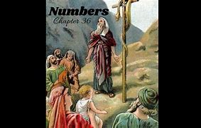 Image result for Numbers Chapter 36