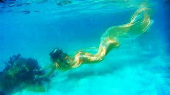 Image result for Black Sea Underwater