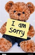 Image result for Cute Sorry Pics