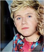 Image result for Niall Horan One Direction