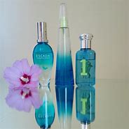 Image result for Versace Summer Perfume