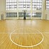 Image result for Indoor Basketball Court Design