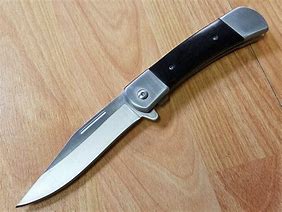 Image result for Spring Assisted Pocket Knife