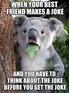 Image result for Koala Jokes for Kids