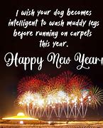 Image result for Happy New Year Funny Ecard