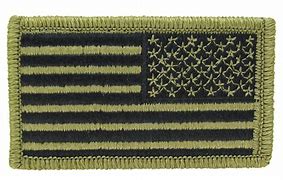 Image result for U.S. Army Flag Patch