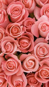 Image result for Pink Gold Rose iPhone 12