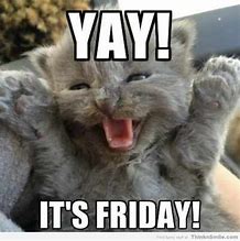 Image result for Good Morning Cat Meme Friday