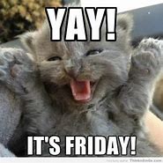 Image result for Happy Friday with Cats Meme