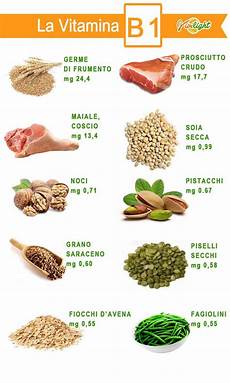 alimentos de vitamina b la vitamina b1 vivilight vitamine salute naturale y alimentos de vitamina b la vitamina b1 vivilight vitamine salute naturale y