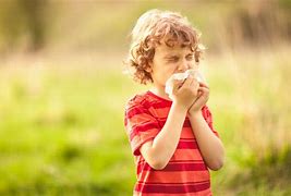 Image result for Seasonal Allergies in Children