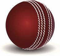 Image result for Orange Color Cricket Ball Animation