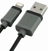 Image result for Lightning Cable to USB Adapter