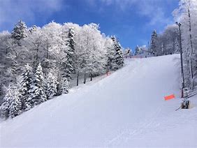 Image result for Divcibare Crni Vrh Skijanje