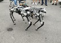Image result for Small Robot Dog