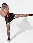 Image result for Muay Thai Martial Arts