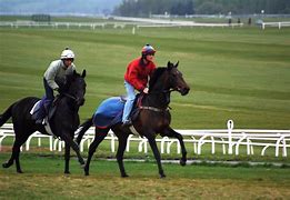 Image result for Horse Race Jump