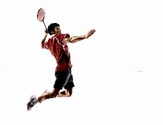 Image result for Badminton Photography