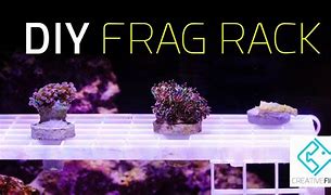 Image result for Frag Frames Coral