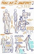 Image result for Anime Anatomy
