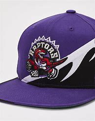 Image result for Toronto Raptors Snapback Hats