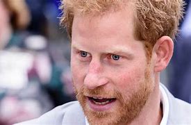 Image result for Prince Harry Upcoming Book