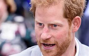 Image result for Prince Harry Singapore Polo