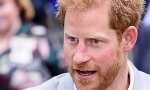Image result for Prince Harry Soy Face