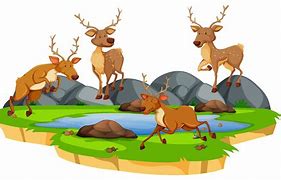 Image result for Deer's Herd Cartoon