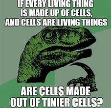 Image result for Cells at Work Memes