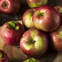 Image result for McIntosh Apples Images Not Ai