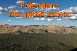 Image result for fallidero