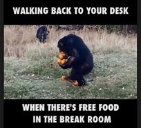 Image result for Free Food at Work Meme