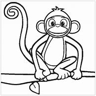 Image result for Picture of Monkey Laughing