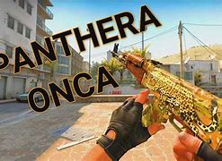 Image result for CS:GO Panther Skin AK-47
