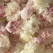 Image result for Light Pink Screen