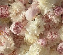 Image result for Pink and White PC Computer Wallpaper