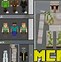 Image result for Meme Minecraft Skins Download