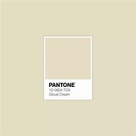 Image result for Cream Pantone Color