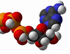 Image result for Chemical Composition of ATP