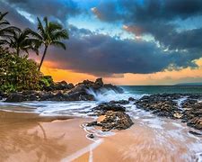 Image result for Tropical Beaches Screensavers