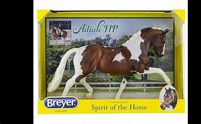 Image result for Bridle Unboxing