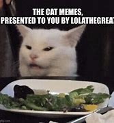 Image result for Sulking Cat Meme